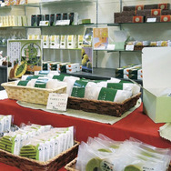 モンチッチが京都・嵐山にやってくる！限定“抹茶モンチッチ”も初登場