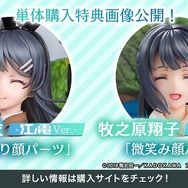 青春ブタ野郎はバニーガール先輩の夢を見ない』「桜島麻衣 -江ノ電 Ver