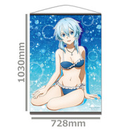 sao ソードアート　アトレ秋葉原　希少品　タペストリー　しのん ソードアート・オンライン」“シノンファン必見”の水着タペストリーなど