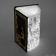 仮面ライダーW」フィリップの本が“ブック型ライト”に！ 「風都探偵」の