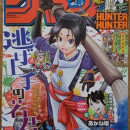 HUNTER×HUNTER」“王位継承編”連載再開！ センターカラーに「幽☆遊