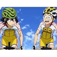 弱ペダ 手嶋純太 一般予約】弱虫ペダル LIMIT BREAK ダイカットステッカー