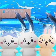 ちいかわ もちっとぷちミニマスコット（ハチワレ） | ちいかわ