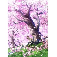 その青春に、きっとあなたは涙する。」劇場アニメ『君の膵臓をたべたい