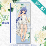 夏アニメ「無職転生II」ロキシー、シルフィエット、エリスが花嫁に