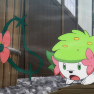 シェイミ ナギサ メルタンが迷子に マオたちと無事再会できるか Tvアニメ ポケットモンスター サン ムーン 4月14日放送のあらすじ 先行カットが到着 9枚目の写真 画像 超 アニメディア