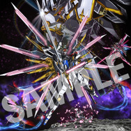 ガンダム SEED FREEDOM」キラ＆ラクス、アスラン＆カガリ…BDの収納