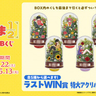 らんま くじ Wチャンス ラストWIN らんま くじ Wチャンス ラストWIN 【公式通販】