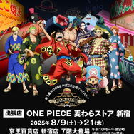 日本限定 缶バッチ80個＋グッズセット ルフィ ナミ サボ ロー ゾロ 輩 Amazon.co.jp: ワンピース ONEPIECE 輩缶バッジ ハロウィン ゾロ サボ