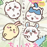 ちいかわ」アニメ新シリーズ再開！ ハチワレ、くりまんじゅうたちが