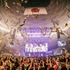 「騎士X - Knight X - 1st ONE MAN LIVE 2025 in 日本武道館」ライブ写真