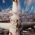 映画『大長編 タローマン 万博大爆発』場面写真
