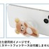 サンエックス「ぬいフォトシリーズ POCOPOCO」使用イメージ（C）2025 SAN-X CO., LTD. ALL RIGHTS RESERVED.