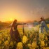 『逆水寒（Sword Of Justice）』リリース画像