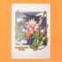 「DRAGON BALL STORE TOKYO」商品