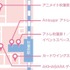 『五等分の花嫁』GOTO AKIBA！　五つ子スタンプラリー in秋葉原　MAP/店舗情報