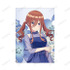 TVスペシャルアニメ『五等分の花嫁＊』描き下ろし 中野三玖 ハーバリウムver. A4クリアファイル