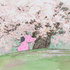 『かぐや姫の物語』