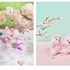 「DISNEY SAKURA COLLECTION 2026」ネックピロー＜プーさん＞ 5,300円／保冷バッグ・ポーチ セット 2,000円／ぬいぐるみキーチェーン 各2,600円／レジャーシート 3,000円／ぬいぐるみ＜チップ＞＜デール＞ 各4,000円／ぬいぐるみ＜ドナルドダック＞ 4,400円／ぬいぐるみキーチェーン＜スティッチ＞ 2,800円
