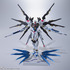 「METAL BUILD ストライクフリーダムガンダム ＜リバイバル版＞」