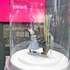 【AnimeJapan 2026／TOHO animationブースレポ】