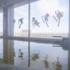 浴室ガラス面装飾