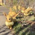 「ピカチュウとイーブイのもり」