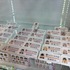 【潜入レポ】“イケメン男子に囲まれる空間”が現実に！『ときめきメモリアル Girl's Side』「ときめき生活応援フェア＆オンリーショップ2026」
