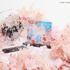 【CLAMP】『カードキャプターさくら』GRAPHIC ACRYLIC STAND