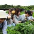 農園リゾートTHE FARM