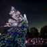東京ディズニーランド・エレクトリカルパレード・ドリームライツが25周年！記念メッセージ入りスペシャル画像も登場【ディズニー】