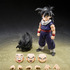「孫悟飯〈Z戦士〉（初回限定〈Z戦士〉集結台座A付属版）」