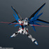 「ZGMF-X10A FREEDOM GUNDAM RENEWAL」