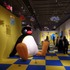 「可愛いだけじゃない！？ピングー展」