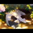 『紫禁・御猫房～紫禁城猫警備室～』ティザーPV
