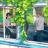 『縁の手紙』場面写真