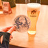オリジナルビール「涼音の華やぎ」