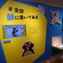 「可愛いだけじゃない！？ピングー展」