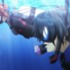 『ぐらんぶる』場面カット