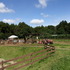 農園リゾート THE FARM