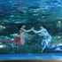 夜間限定営業 サンシャイン水族館×超かぐや姫！ ツクヨミアクアリウム