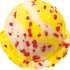 31ポケ夏