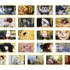 「僕のヒーローアカデミア キャラポップストア」ミニゲーム景品　C賞：場面写真台詞シート（ランダム全21種）
