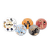 ペーパーコースター