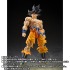 S.H.Figuarts スーパーサイヤ人孫悟空-伝説のスーパーサイヤ人-