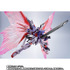 「【開催記念商品／事前CTM抽選】METAL ROBOT魂 ＜SIDE MS＞ デスティニーガンダムSpecII 最終決戦 Ver.」
