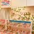 Washi Wonderland（マスキングテープワンダーランド）