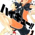 『ハイキュー!!』書影　（1巻）　(c)古舘春一／集英社