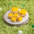 【“スコーン”のクランベリースコーン】