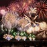 ヨーロピアン・ホーリー・クリスマス